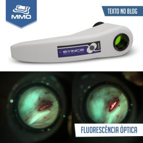 WhatsApp Image 2019-06-27 at 08.34.58 (1)