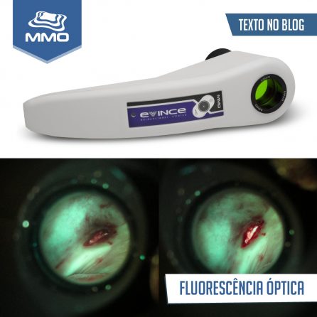 WhatsApp Image 2019-06-27 at 08.34.58 (1)