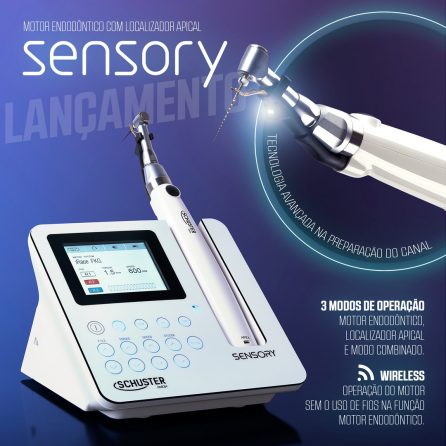 WhatsApp Image 2019-08-07 at 15.11.56 (1)